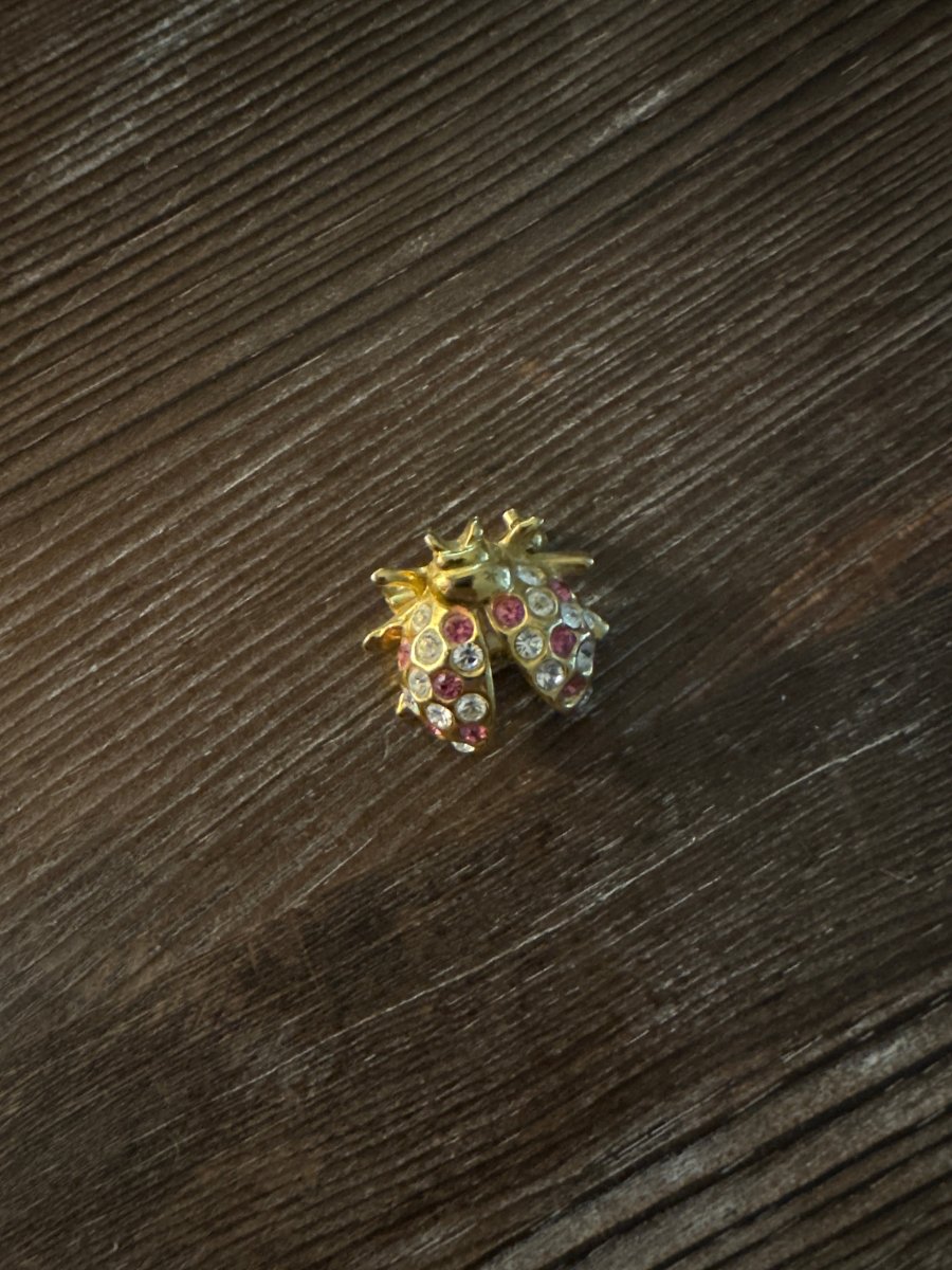 Rhinestone Ladybug Brooch - Dirty30 Vintage