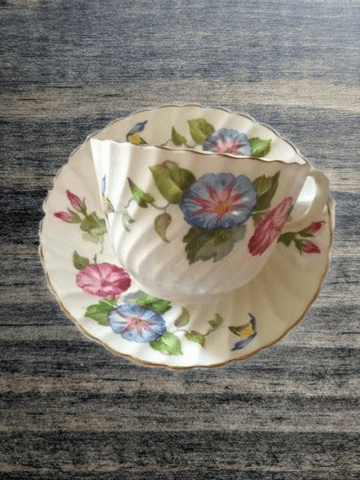 Vintage Aynsley English Bone China Swirl Morning Glory Pattern Tea Cup and Saucer - Dirty30 Vintage