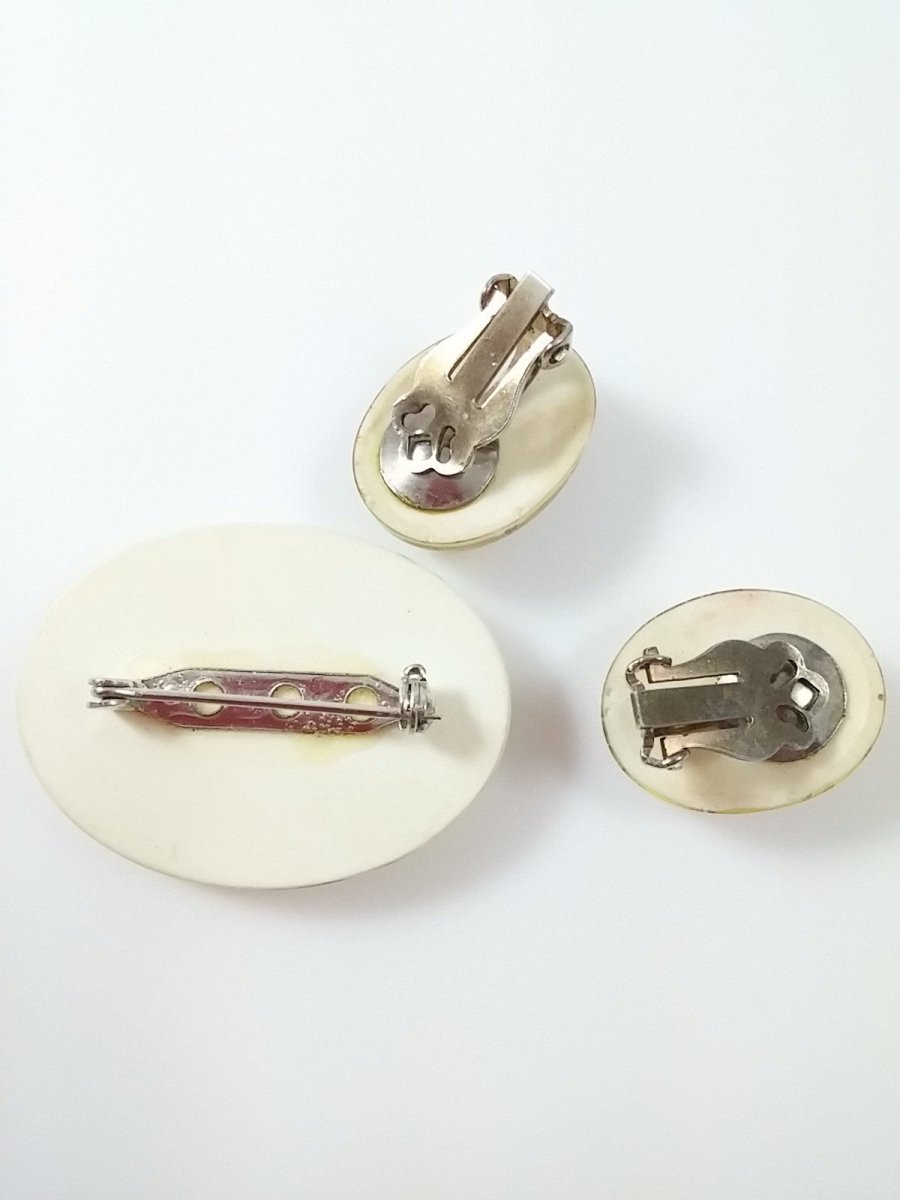 Vintage Brooch and Earring Set Clear Lucite w/ Dried Flowers Pin & Clip Earrings - Dirty30 Vintage